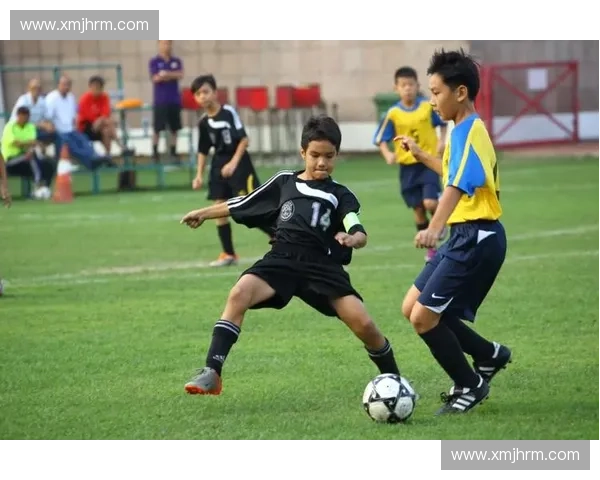 训练负荷管理对运动表现与身体恢复的综合影响研究